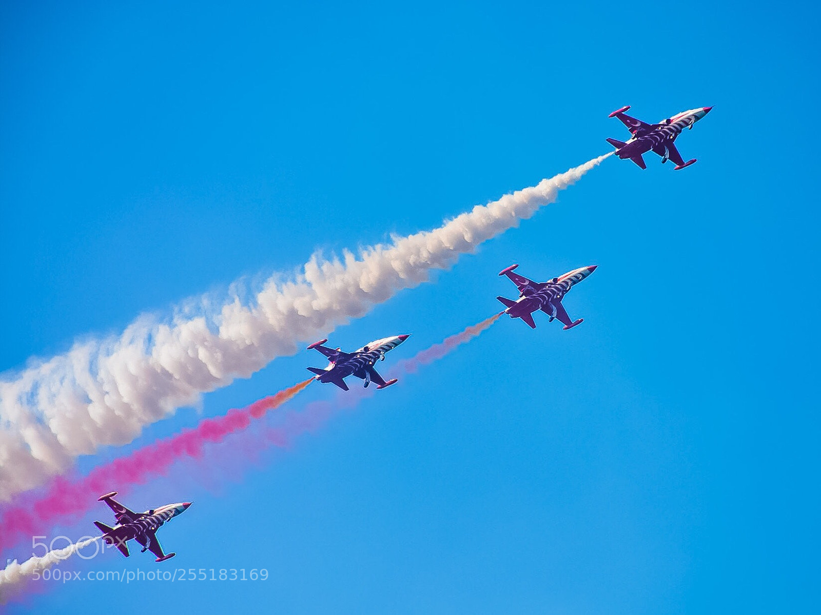 Nikon D7100 sample photo. Untitled photography