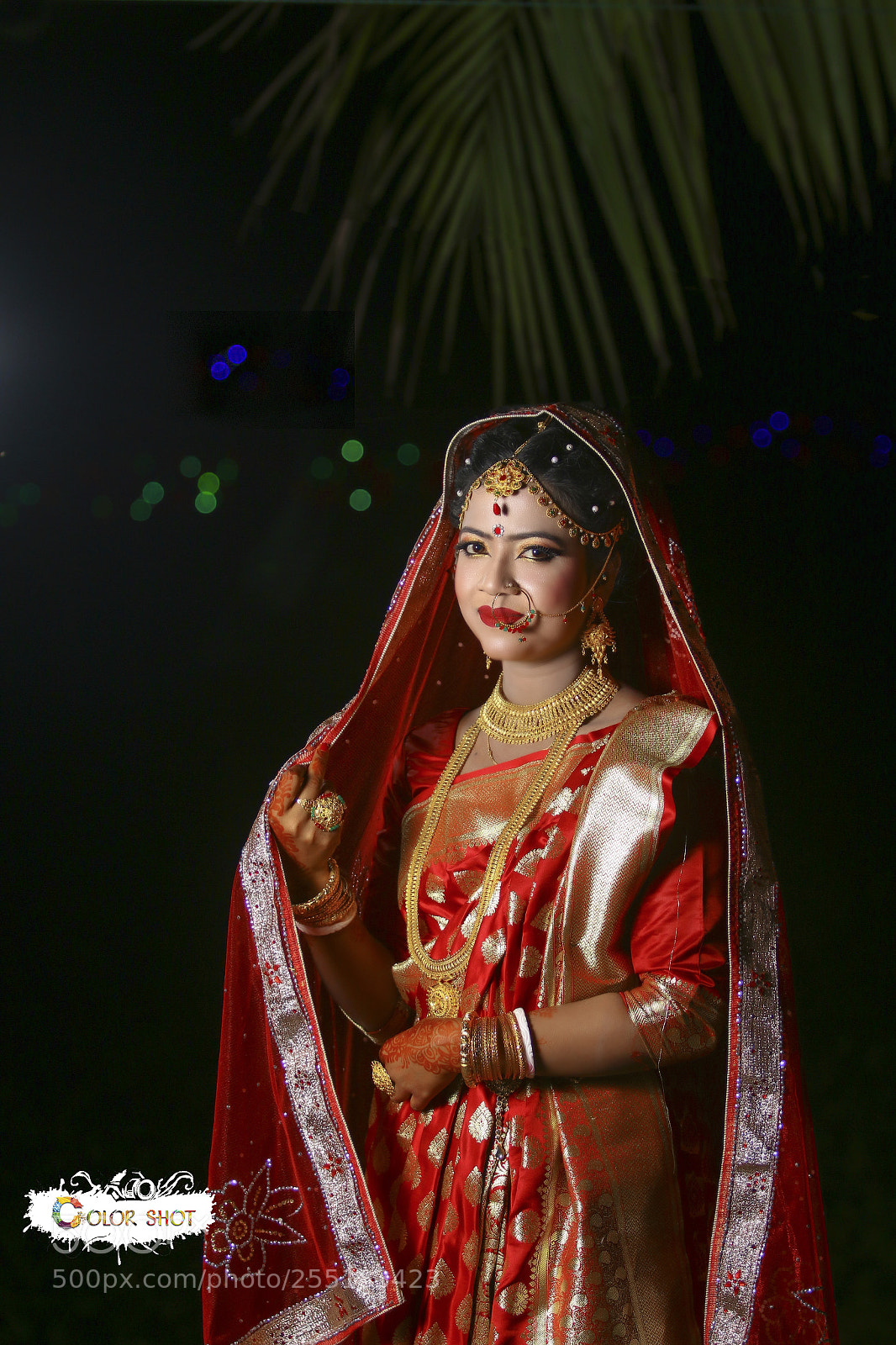 Canon EOS 70D sample photo. Sumi photography