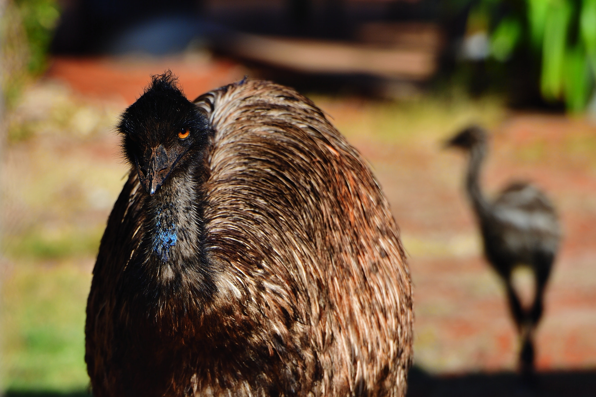 Nikon D5 sample photo. Look at me photography