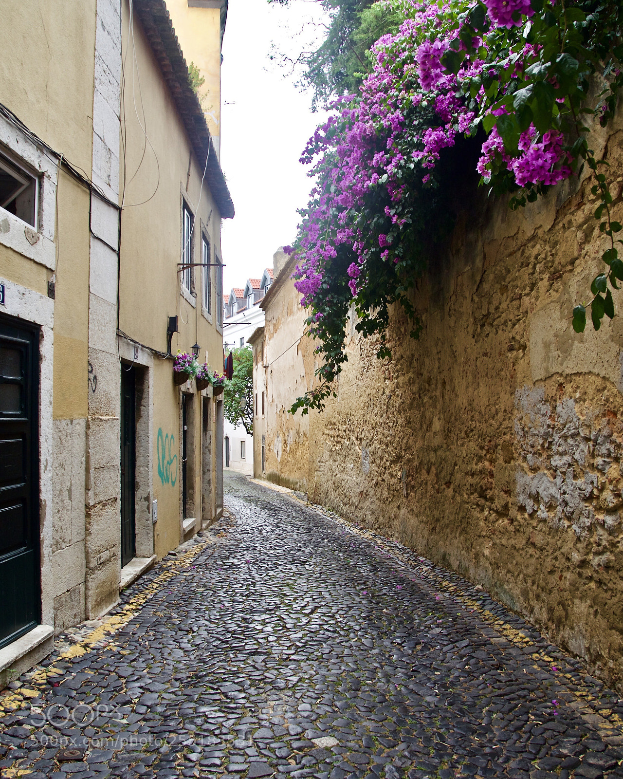 Nikon D5100 sample photo. Pretty passageway  photography