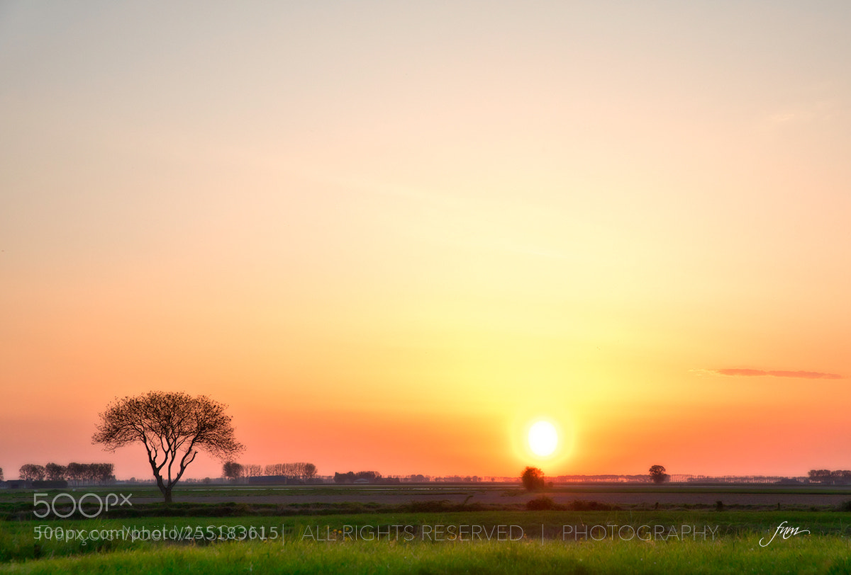 Canon EOS 5D Mark IV sample photo. Un air d'ailleurs photography