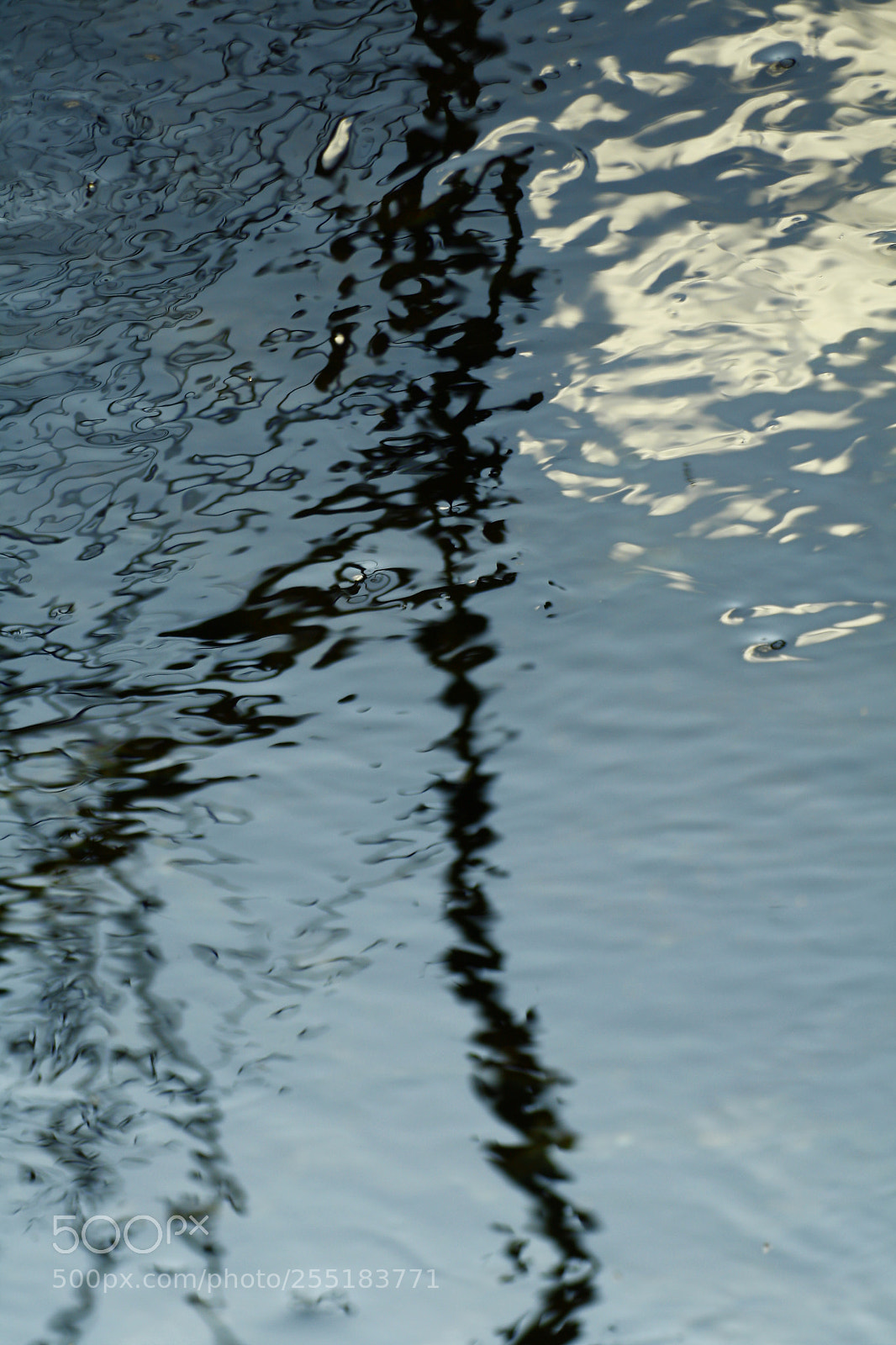 Canon EOS 1000D (EOS Digital Rebel XS / EOS Kiss F) sample photo. Shape of breath photography