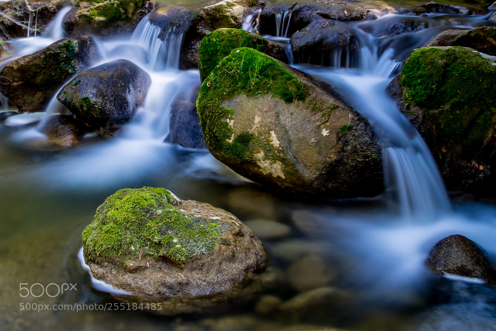 Canon EOS 5D Mark IV sample photo. 2r3a1017-02.jpg photography