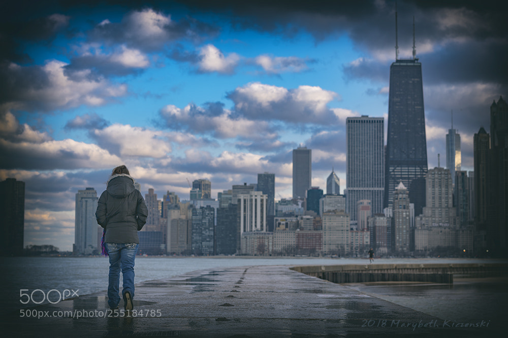 Nikon D850 sample photo. Chicago photography