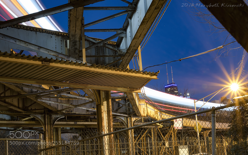 Nikon D850 sample photo. Under the "l" photography