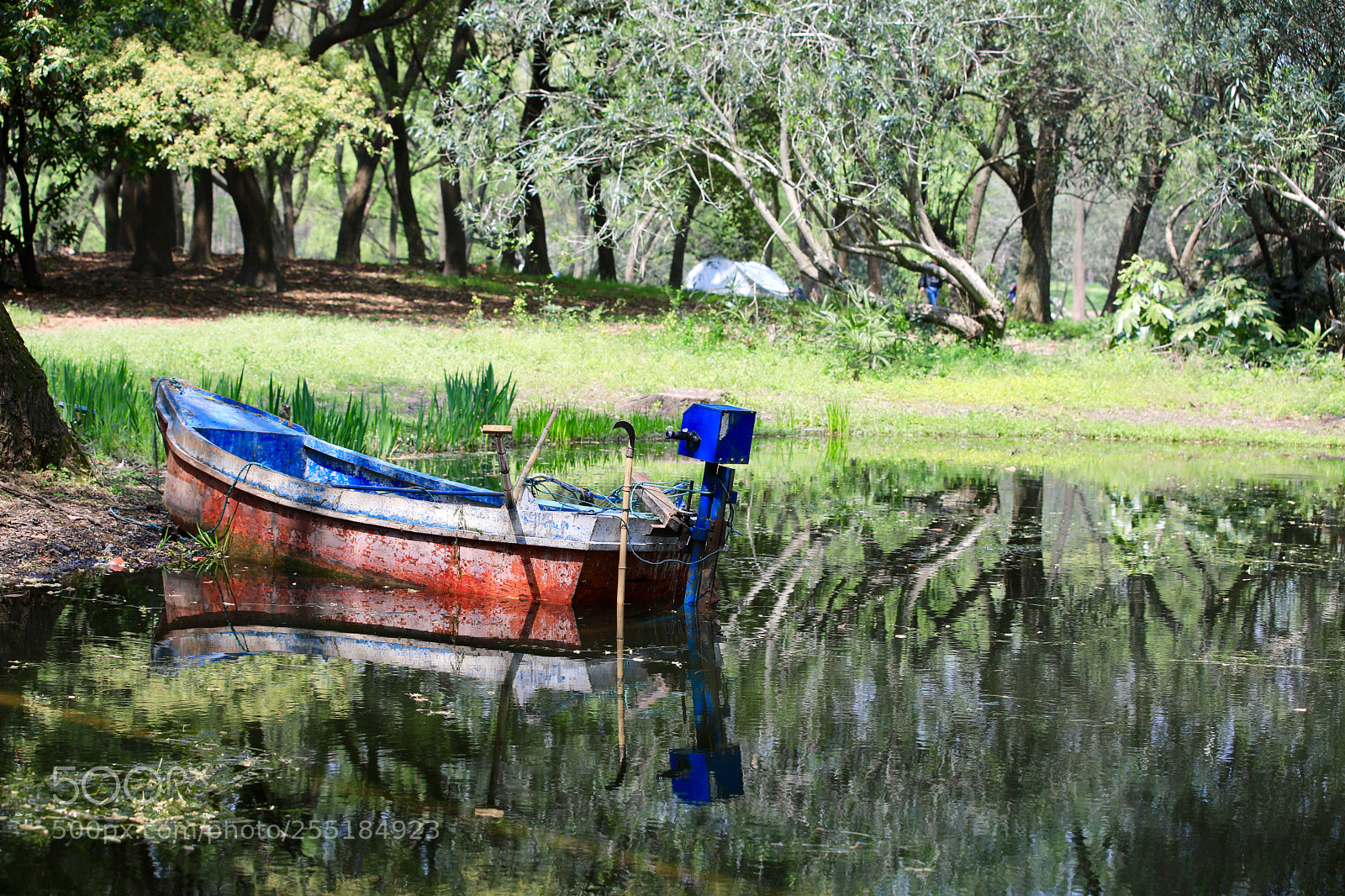 Canon EOS 5D Mark IV sample photo. Untitled photography