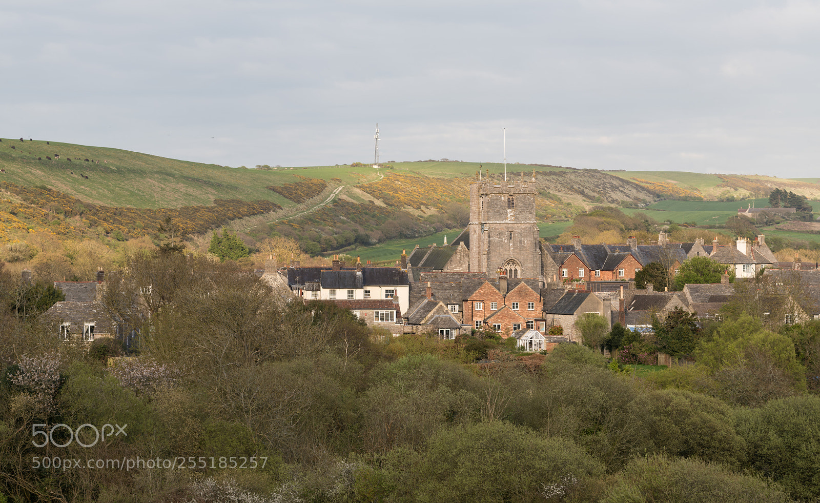 Nikon D850 sample photo. Corfe in the evening photography