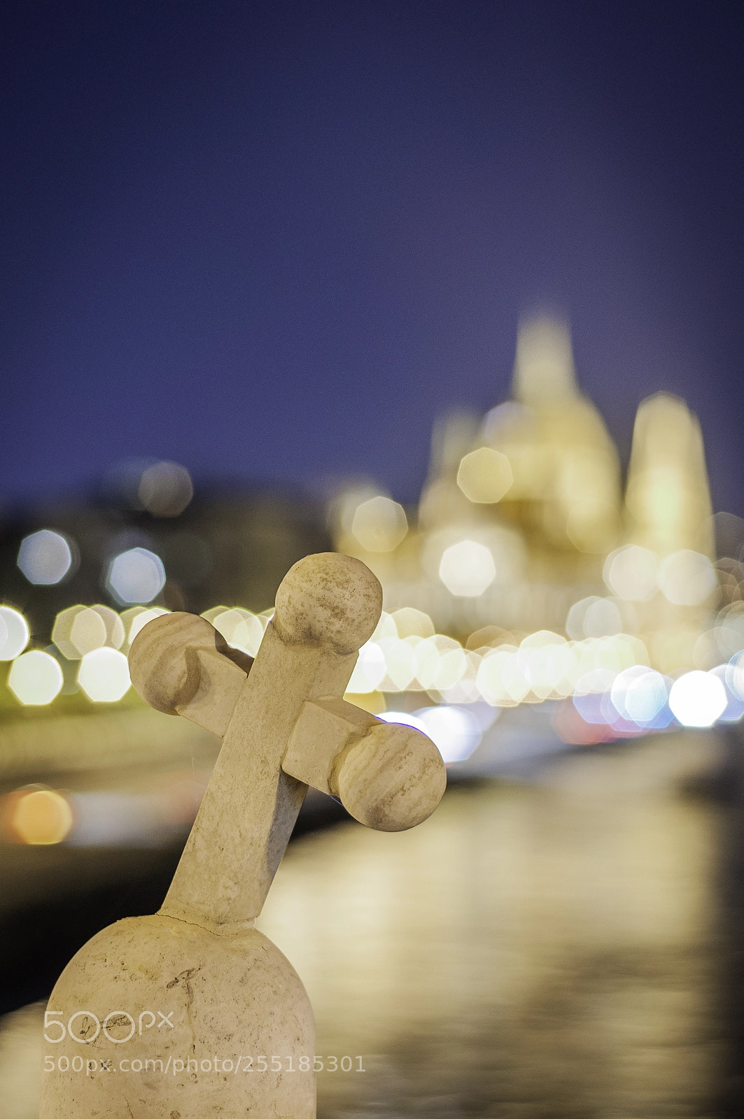 Nikon D90 sample photo. Two of hungary's symbols photography