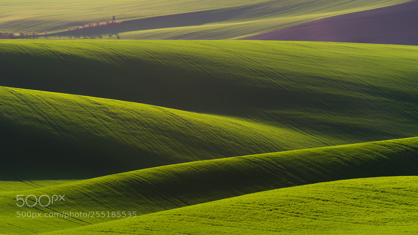 Nikon D610 sample photo. Green waves photography