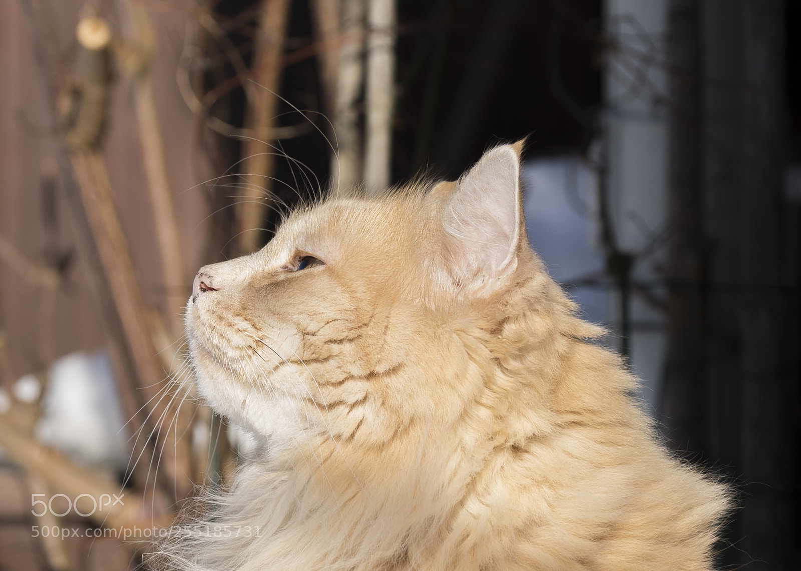Nikon D5300 sample photo. Aa dsc o photography