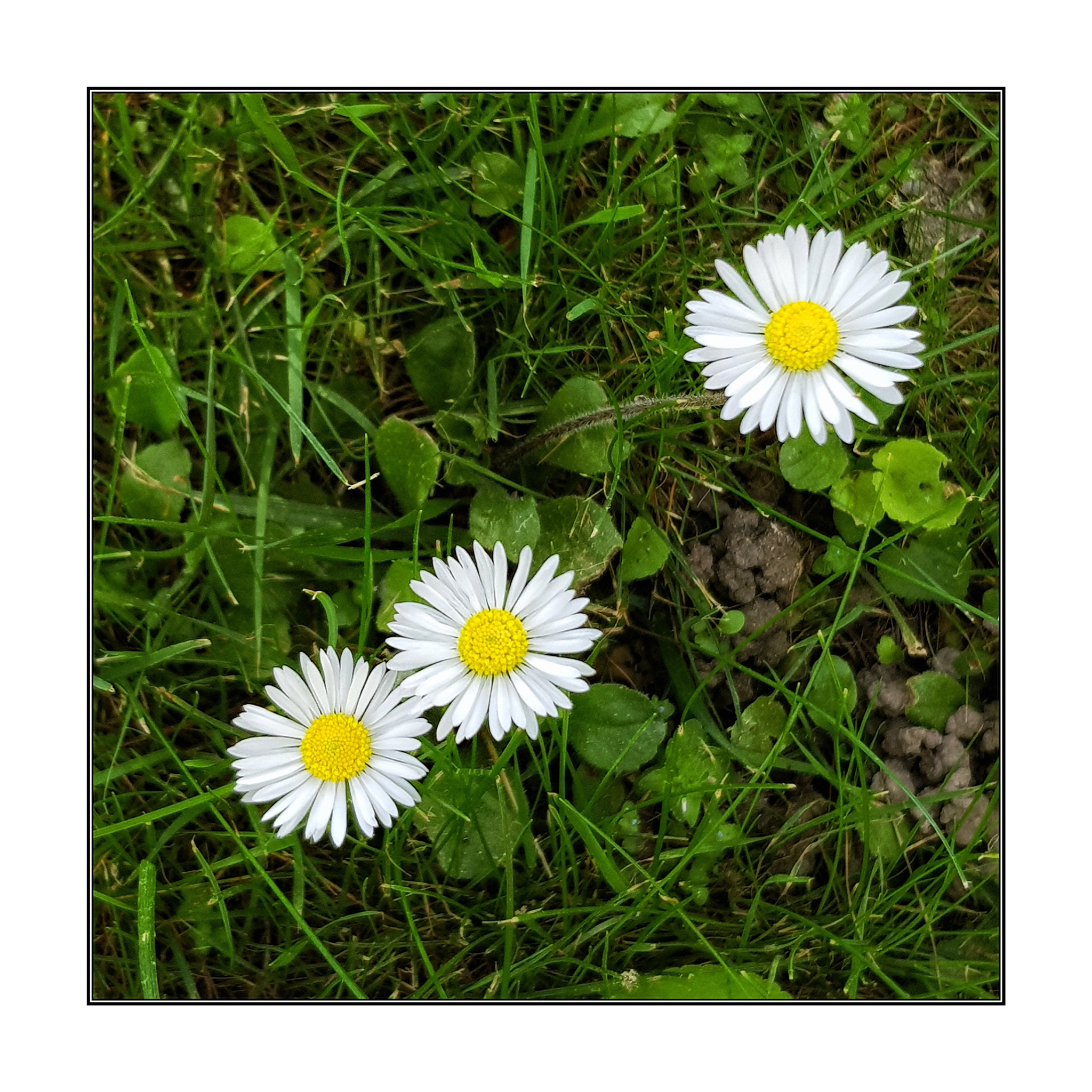 v2?sig=d19992f1330b1a08b30cb687a2ee633ea5ba6aa479588461a466d3ab8367184d