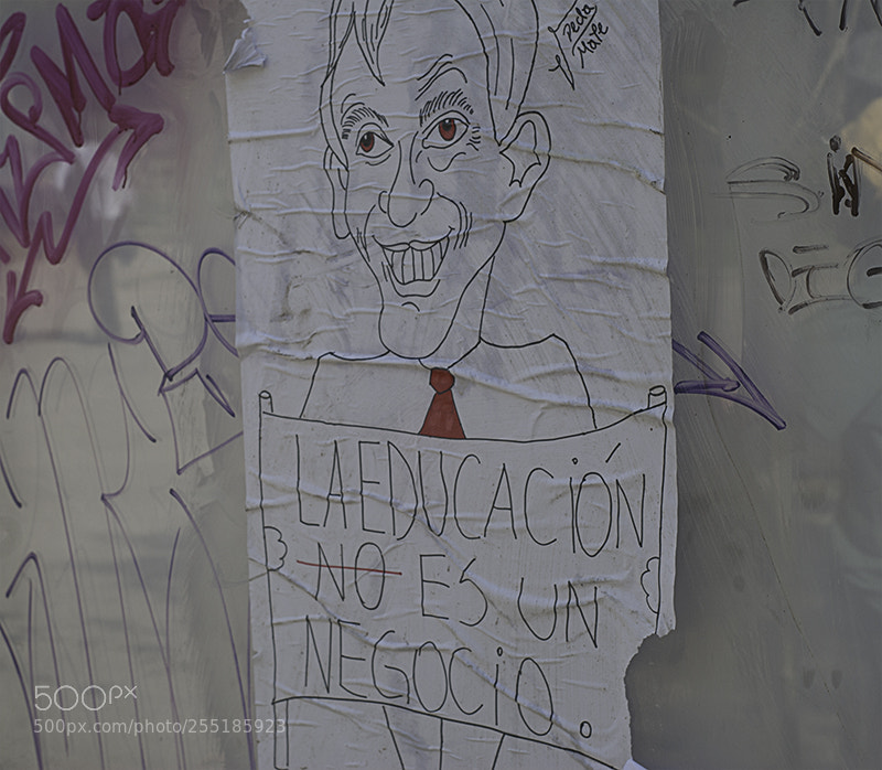 Nikon D3000 sample photo. Editar copia photography