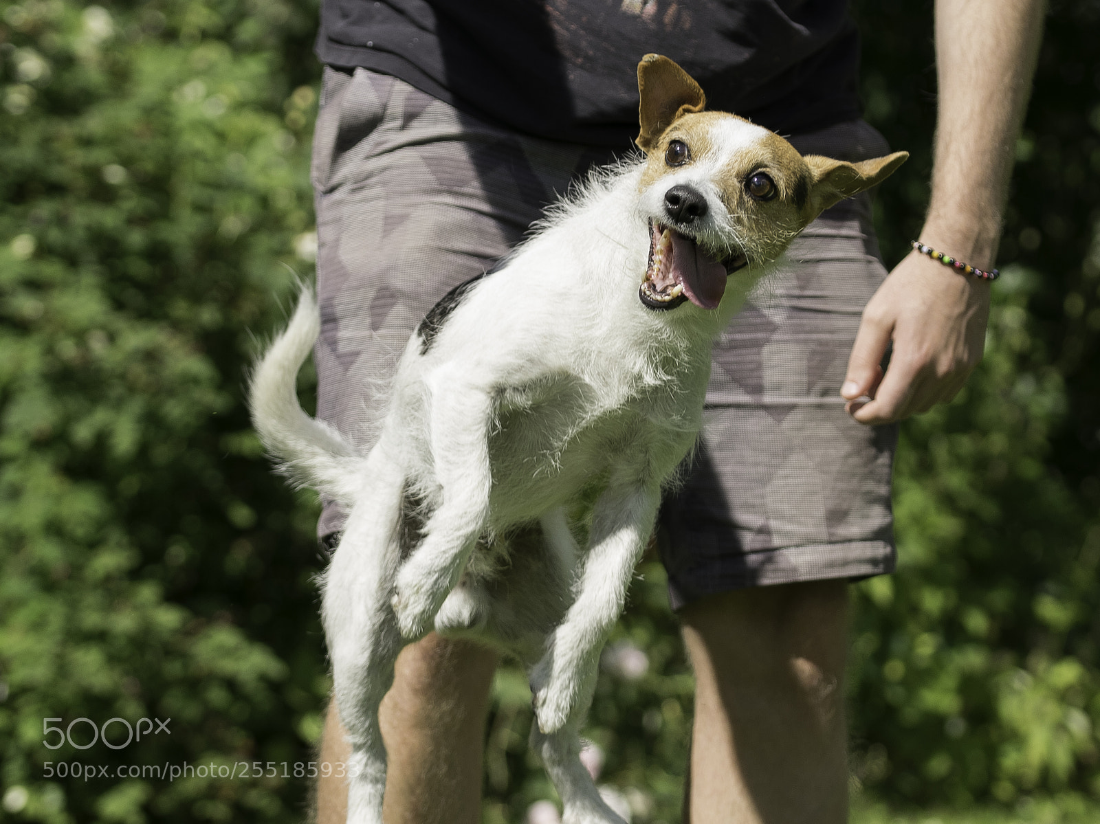 Nikon D5300 sample photo. Jumping o photography