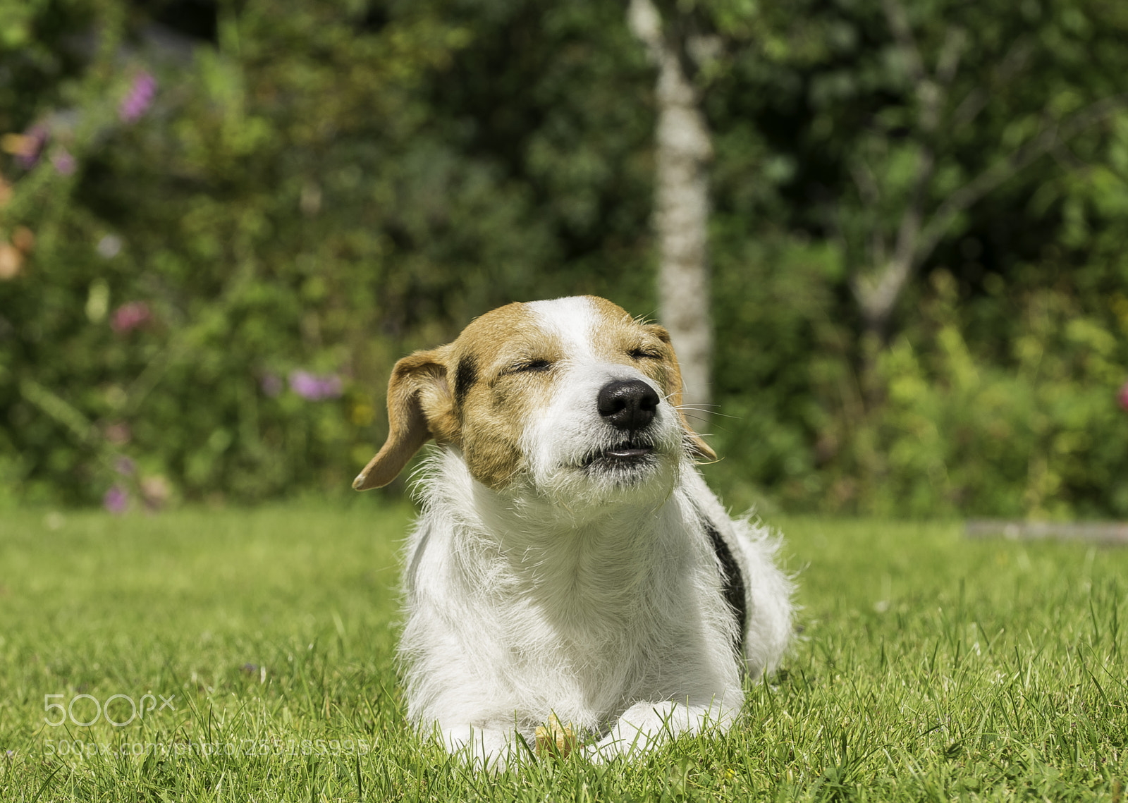 Nikon D5300 sample photo. Relaxing in the sun photography