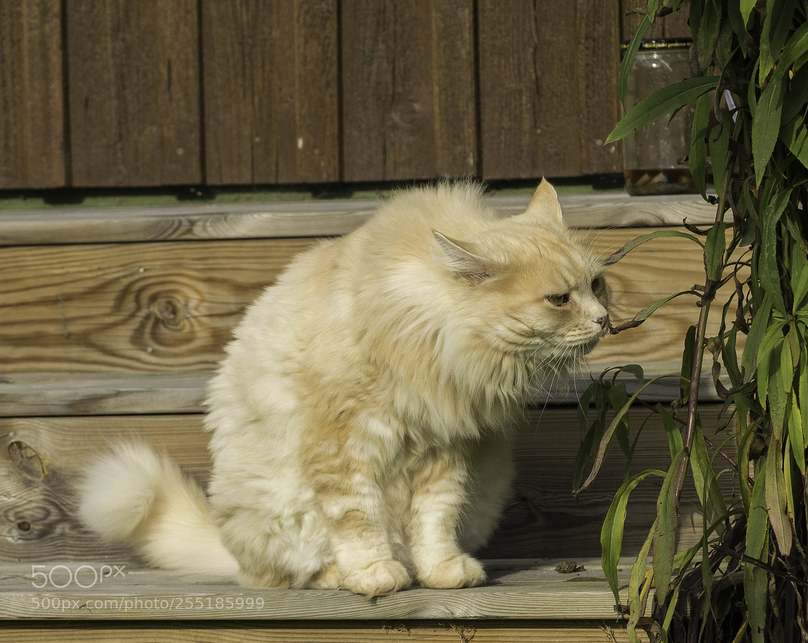 Nikon D5300 sample photo. Smells bad o photography