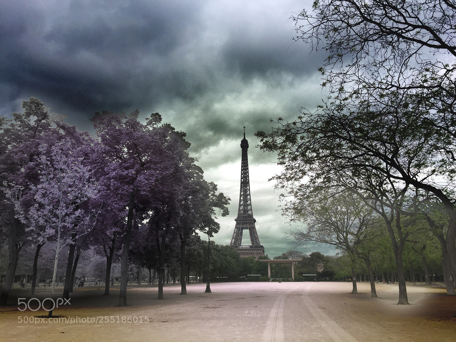 Apple iPhone 6 sample photo. Paris france photography