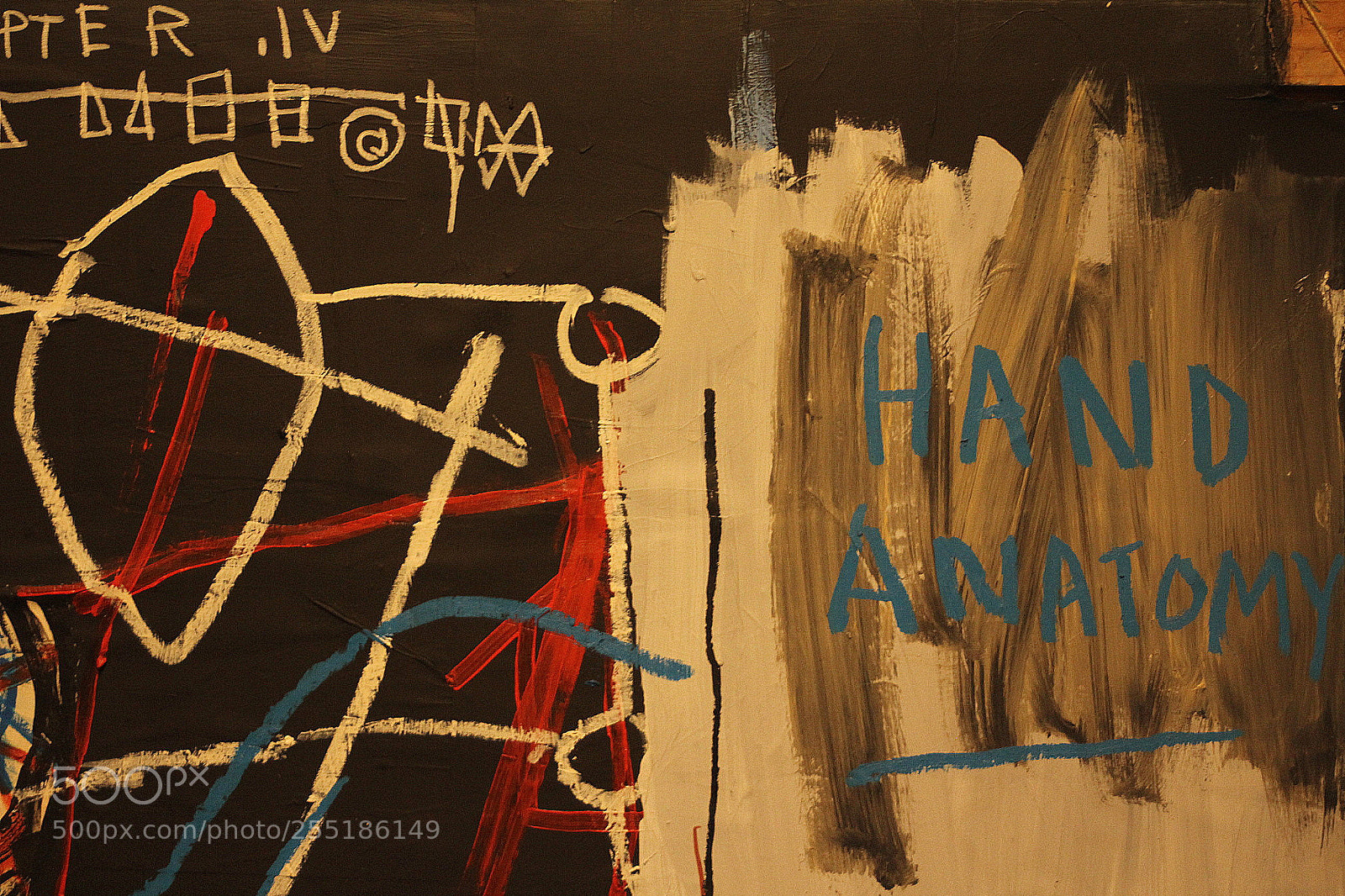 Canon EF 28-80mm f/3.5-5.6 sample photo. Basquiat photography