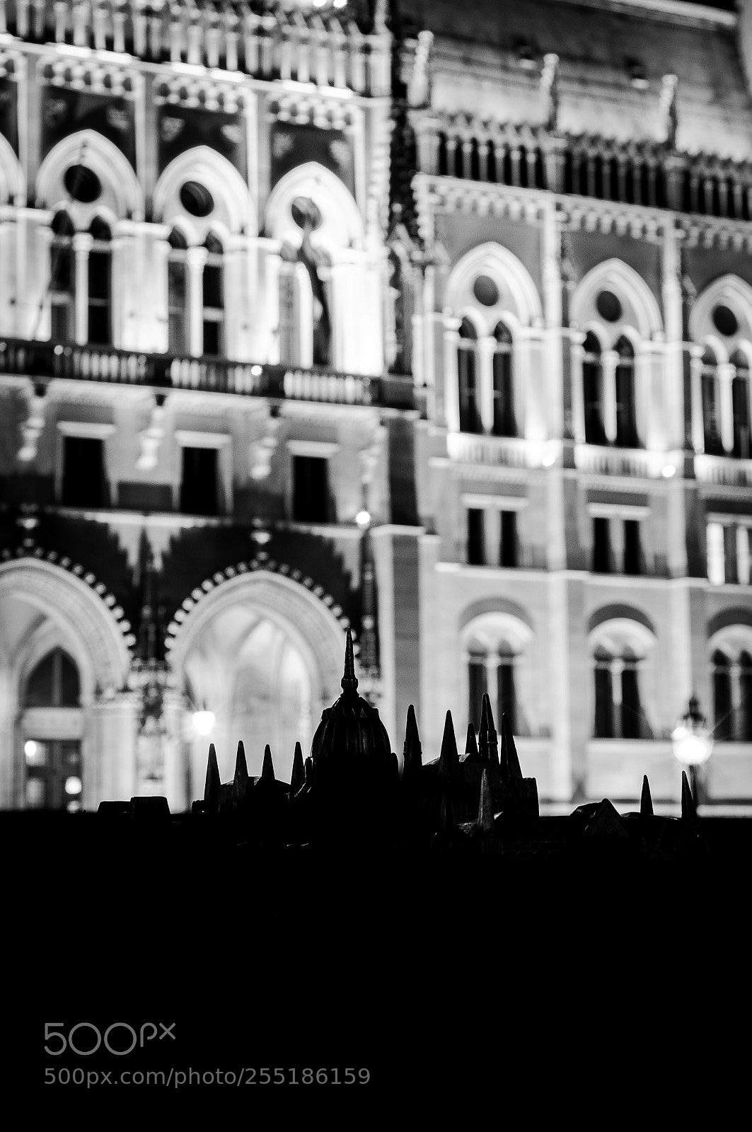 Nikon D90 sample photo. A well known silhouette photography