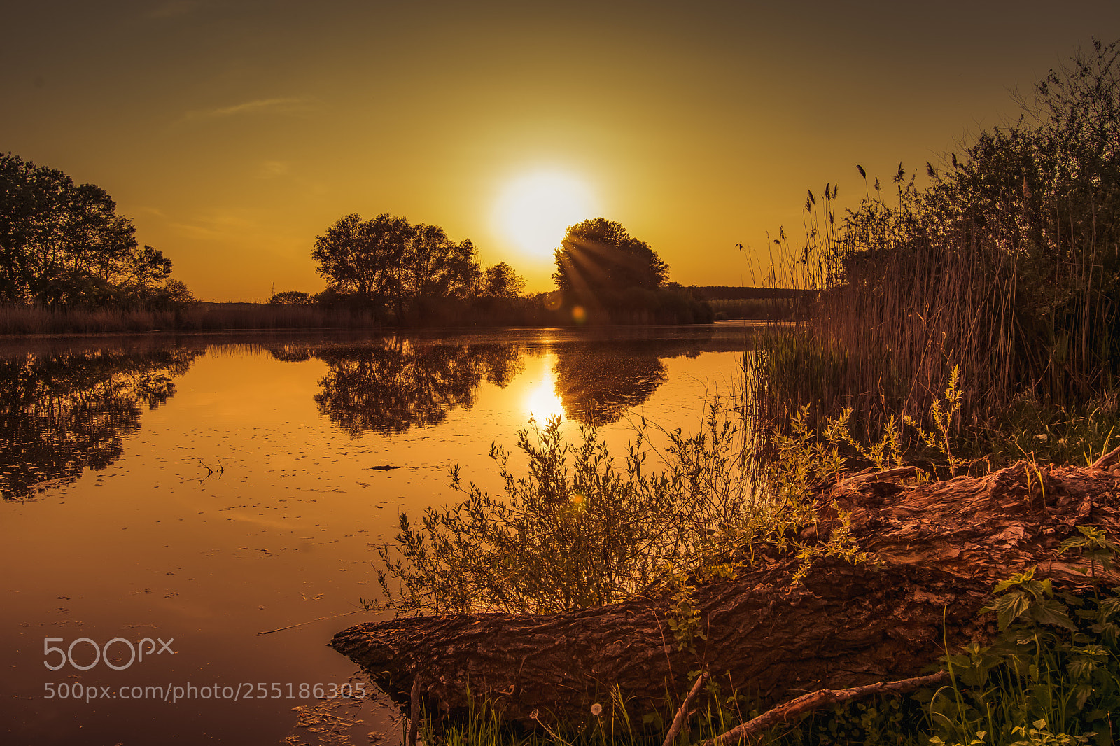 Nikon D7100 sample photo. Near the lake photography