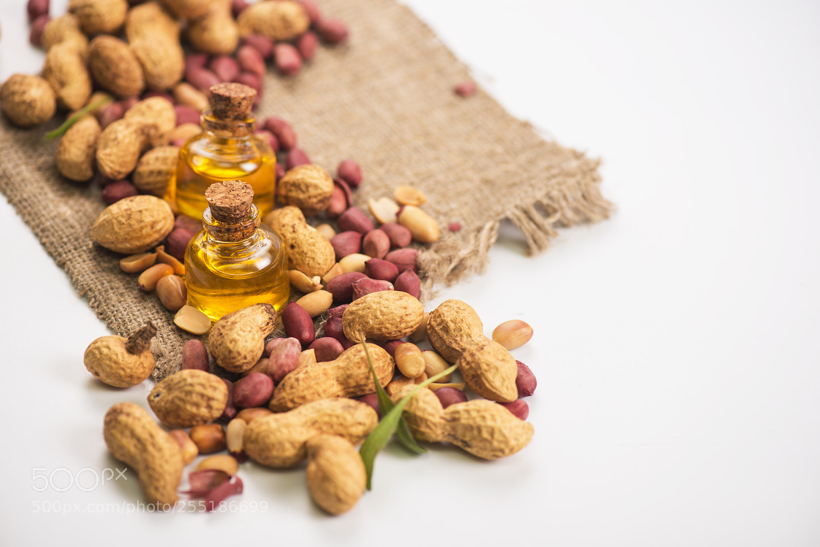 Nikon D810 sample photo. Natural peanut with oil photography