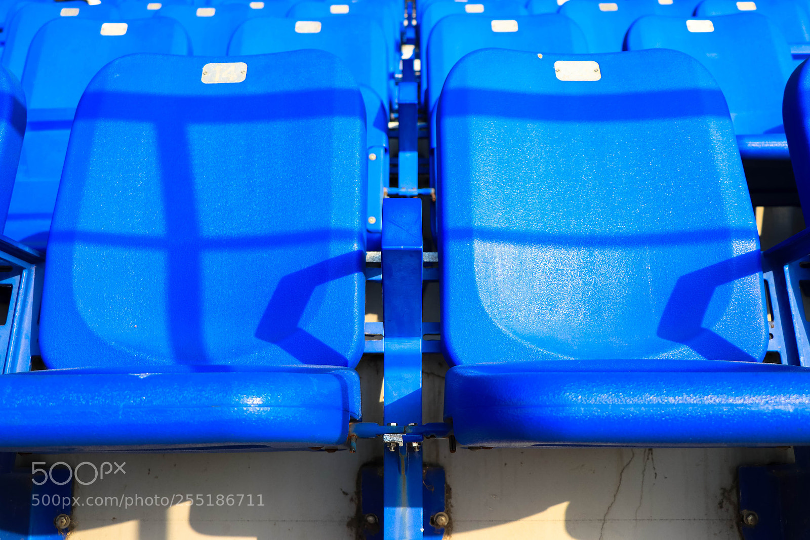 Canon EOS 77D (EOS 9000D / EOS 770D) sample photo. Pew photography