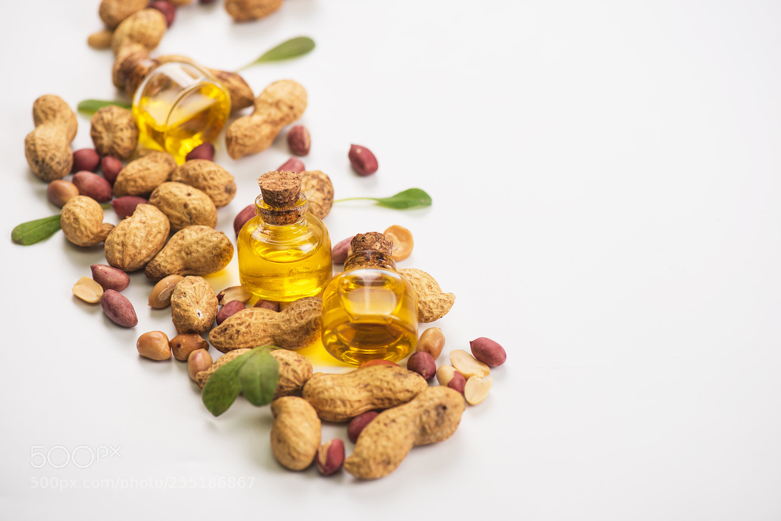 Nikon D810 sample photo. Natural peanut with oil photography