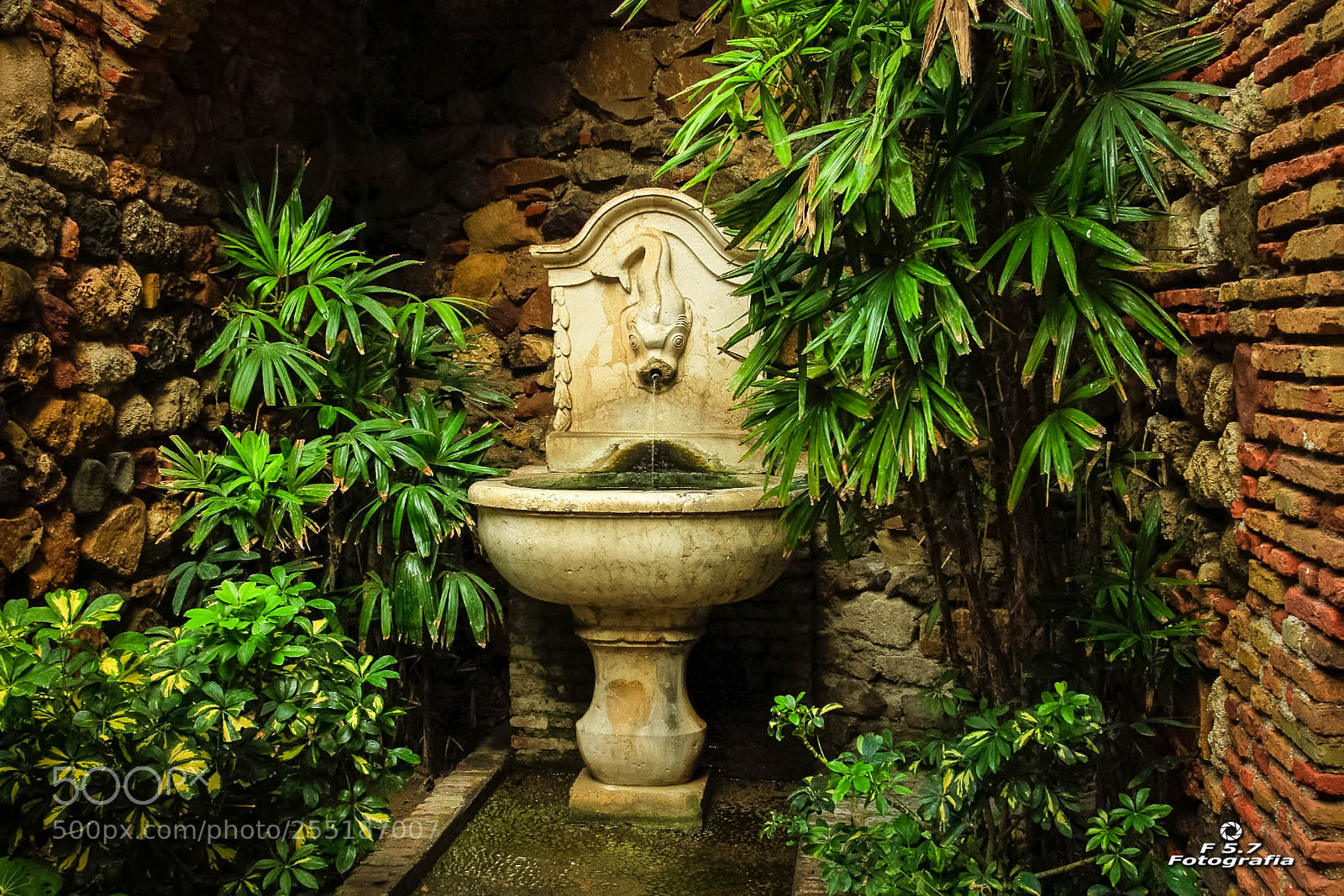Canon EOS 7D sample photo. Fuente - alcazaba photography