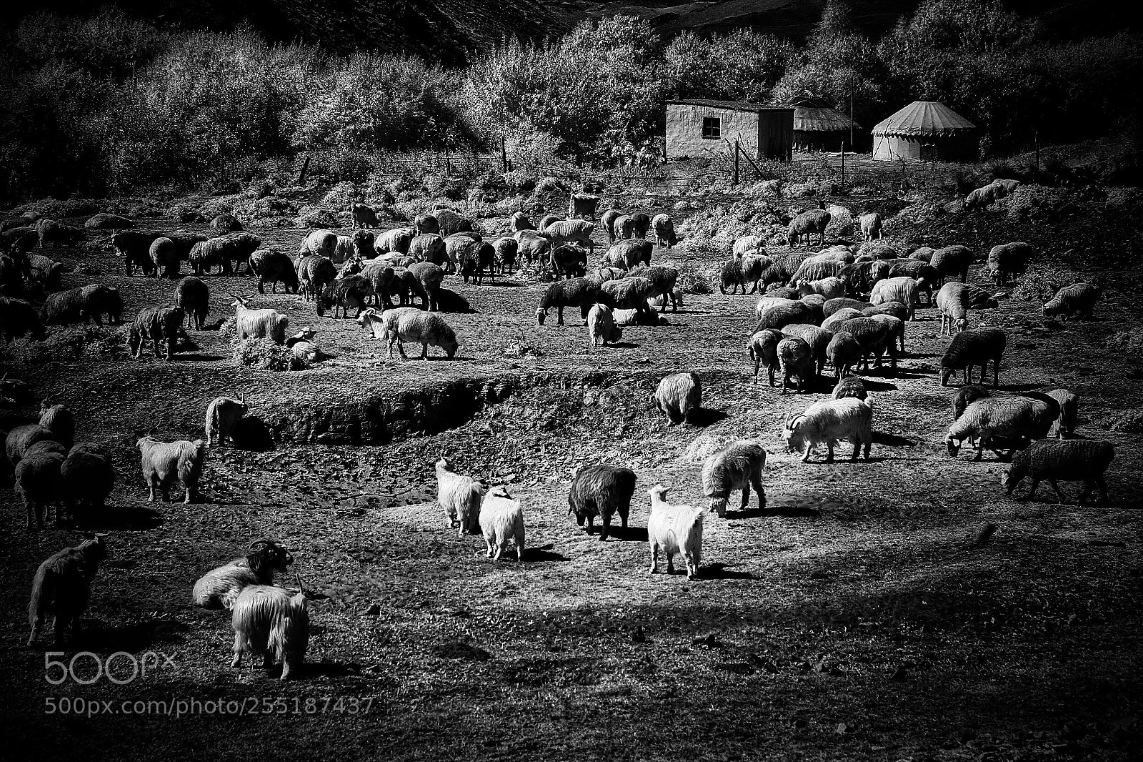 Canon EOS 5D sample photo. Xinjiang china photography