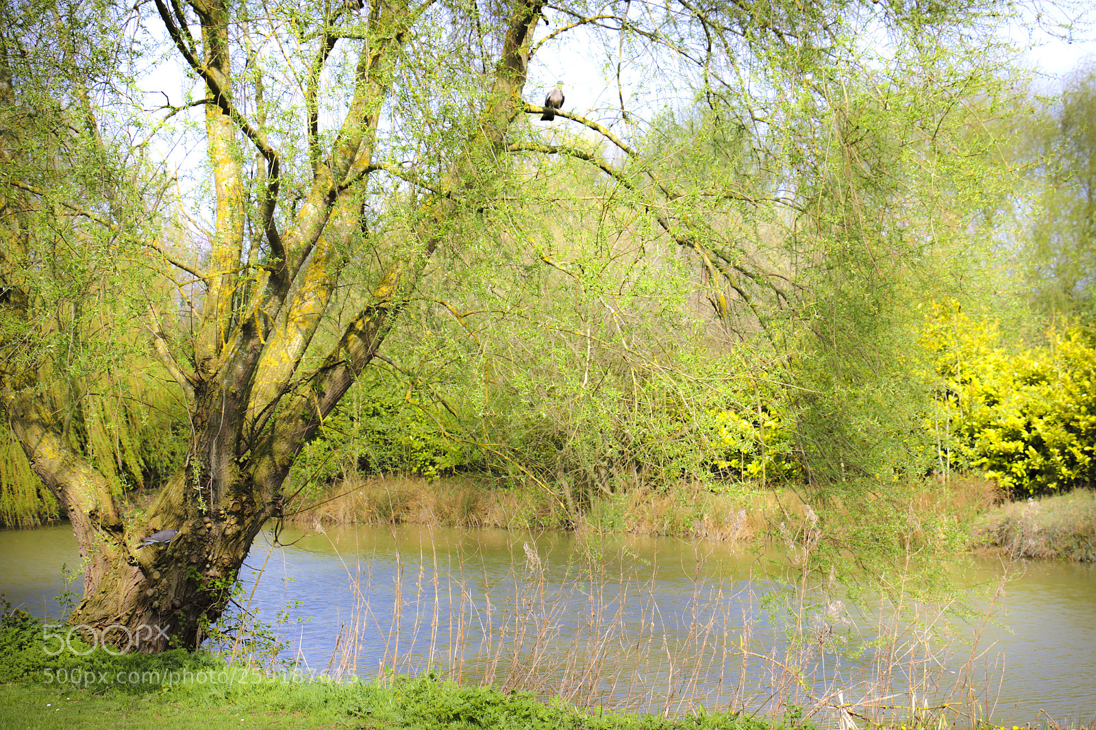 Canon EOS 70D sample photo. Lake 2 photography