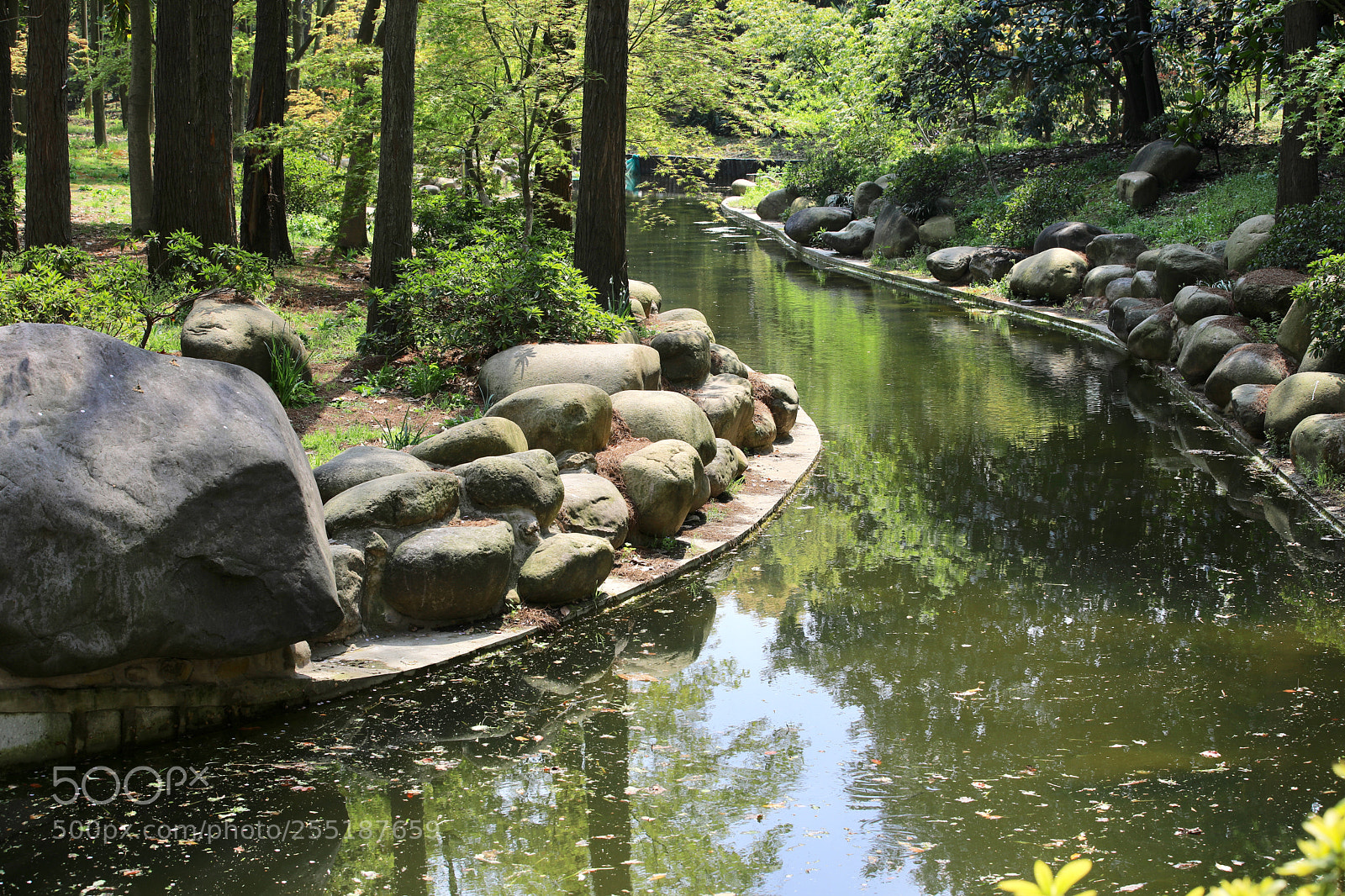 Canon EOS 5D Mark IV sample photo. Untitled photography