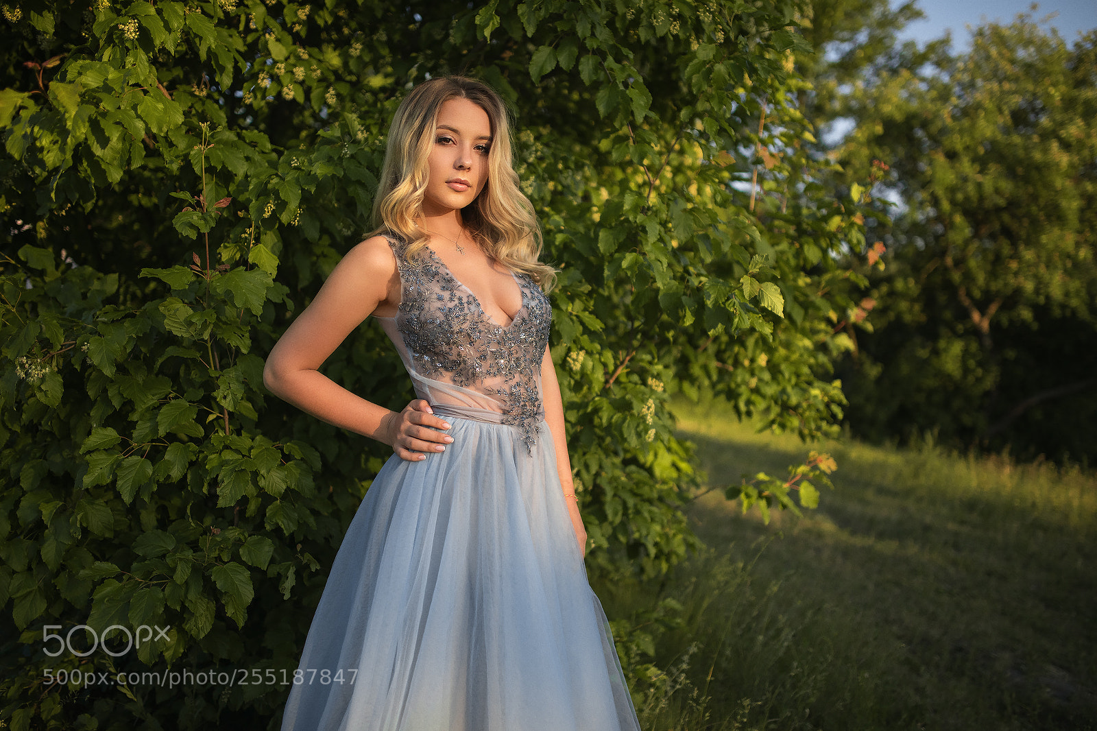 Canon EOS 5D Mark IV sample photo. Nadya photography