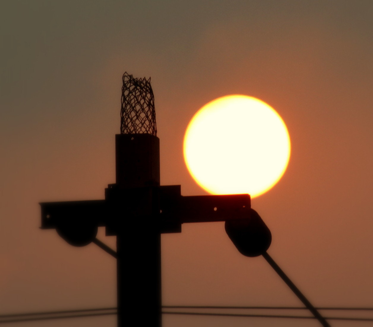 Canon EF-S 55-250mm F4-5.6 IS II sample photo. Img photography