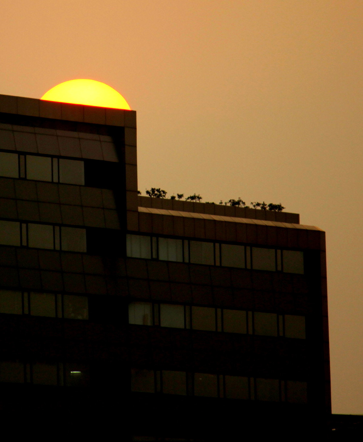 Canon EF-S 55-250mm F4-5.6 IS II sample photo. Img photography