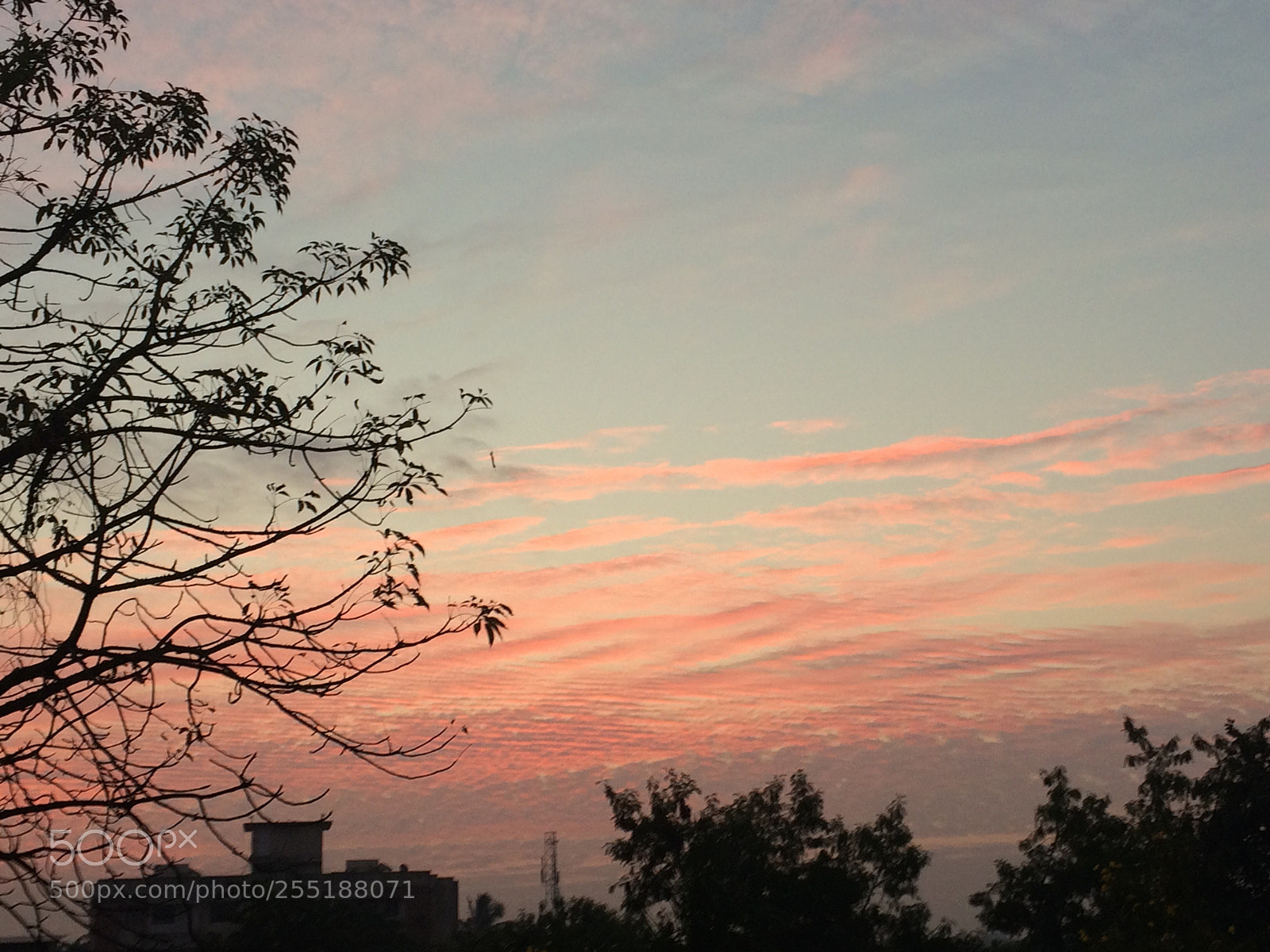 Apple iPhone 5s sample photo. Coloured sky... photography