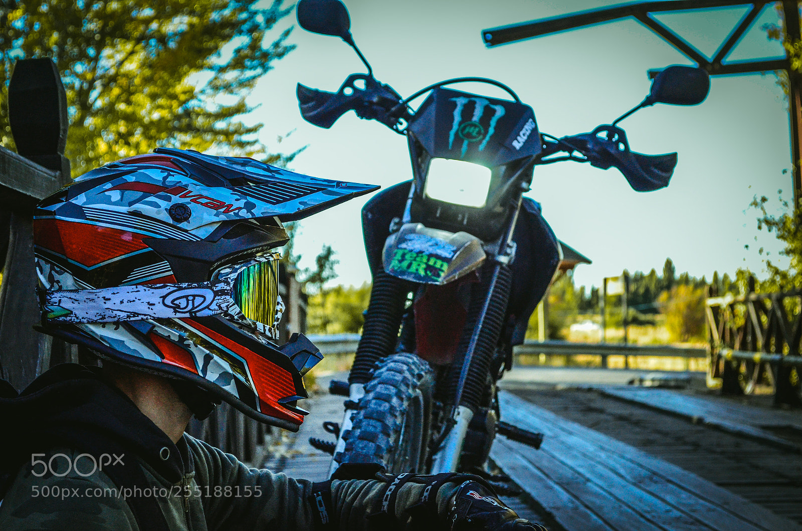 Nikon D5100 sample photo. Untitled photography