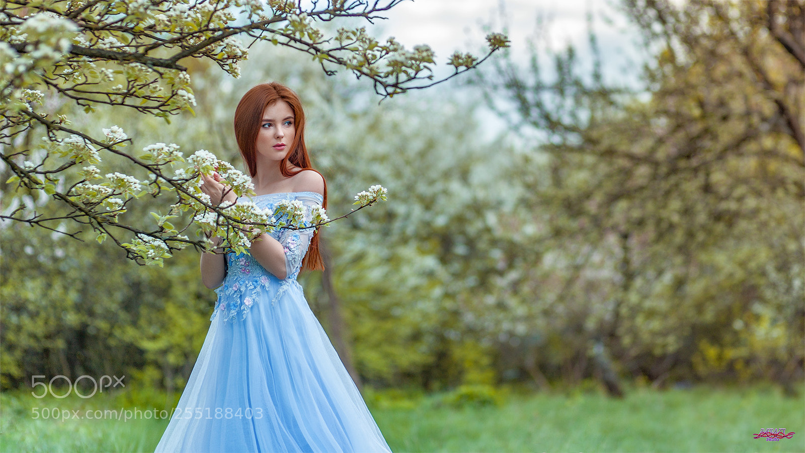 Canon EOS 5D Mark II sample photo. Alexandra bloom redhead photography