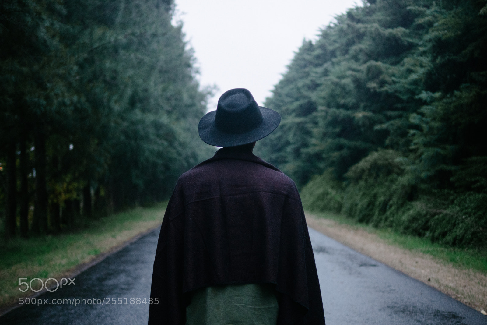 Panasonic Lumix DMC-GH4 sample photo. Gentleman of the road photography