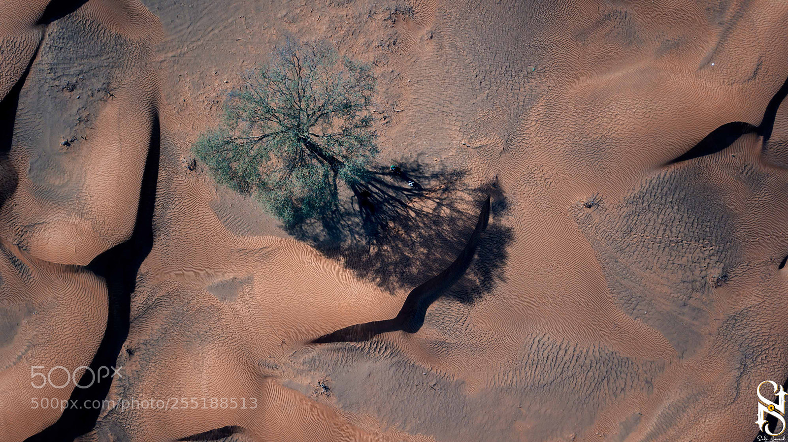 DJI FC220 sample photo. Lost in desert photography