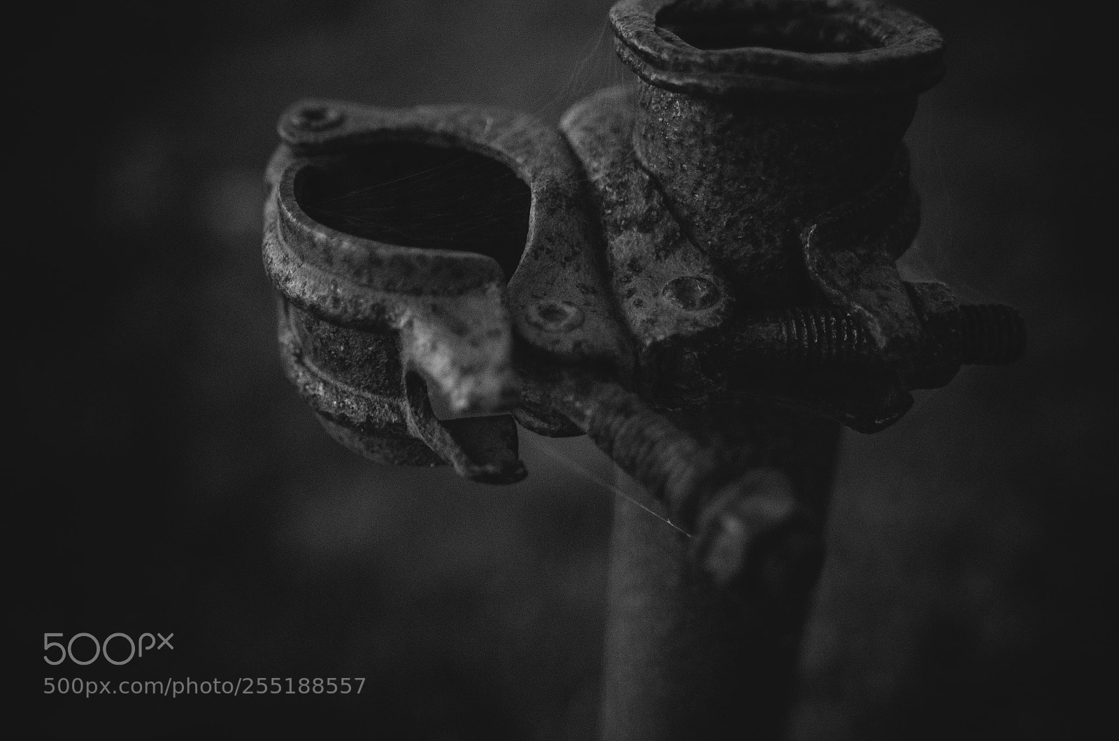 Nikon D7000 sample photo. Rust photography