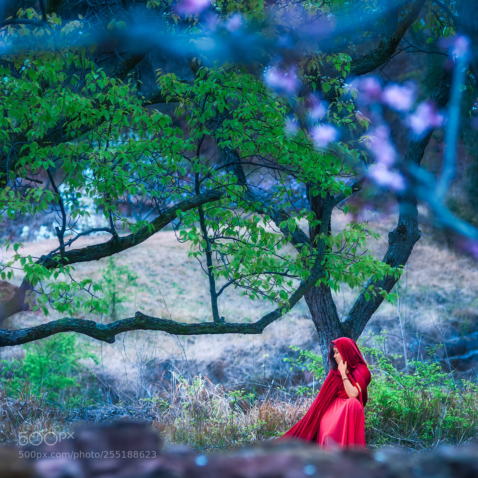 Nikon D300S sample photo. Spring thoughts photography