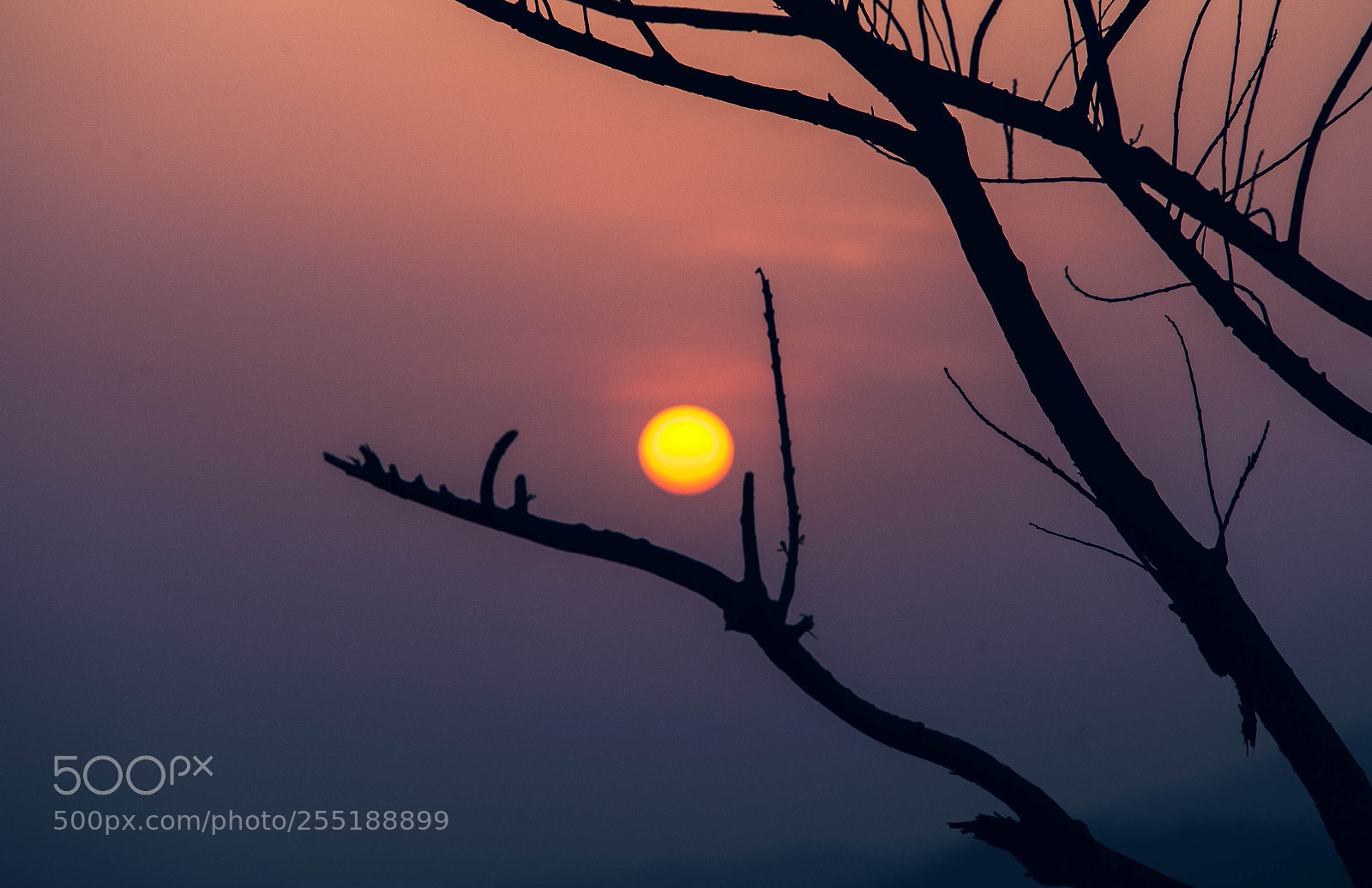 Nikon D700 sample photo. Before sunset photography