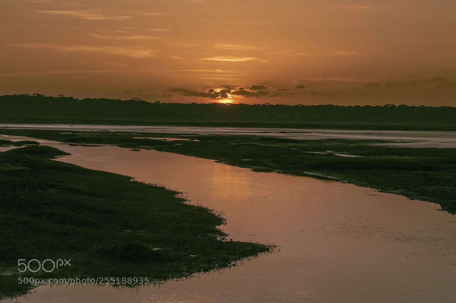 Nikon D810 sample photo. Sunrise after the flood photography