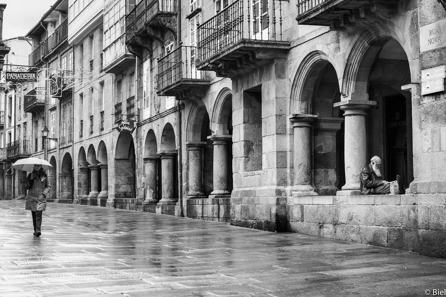 Nikon D610 sample photo. Melancholy and infinite sadness... photography