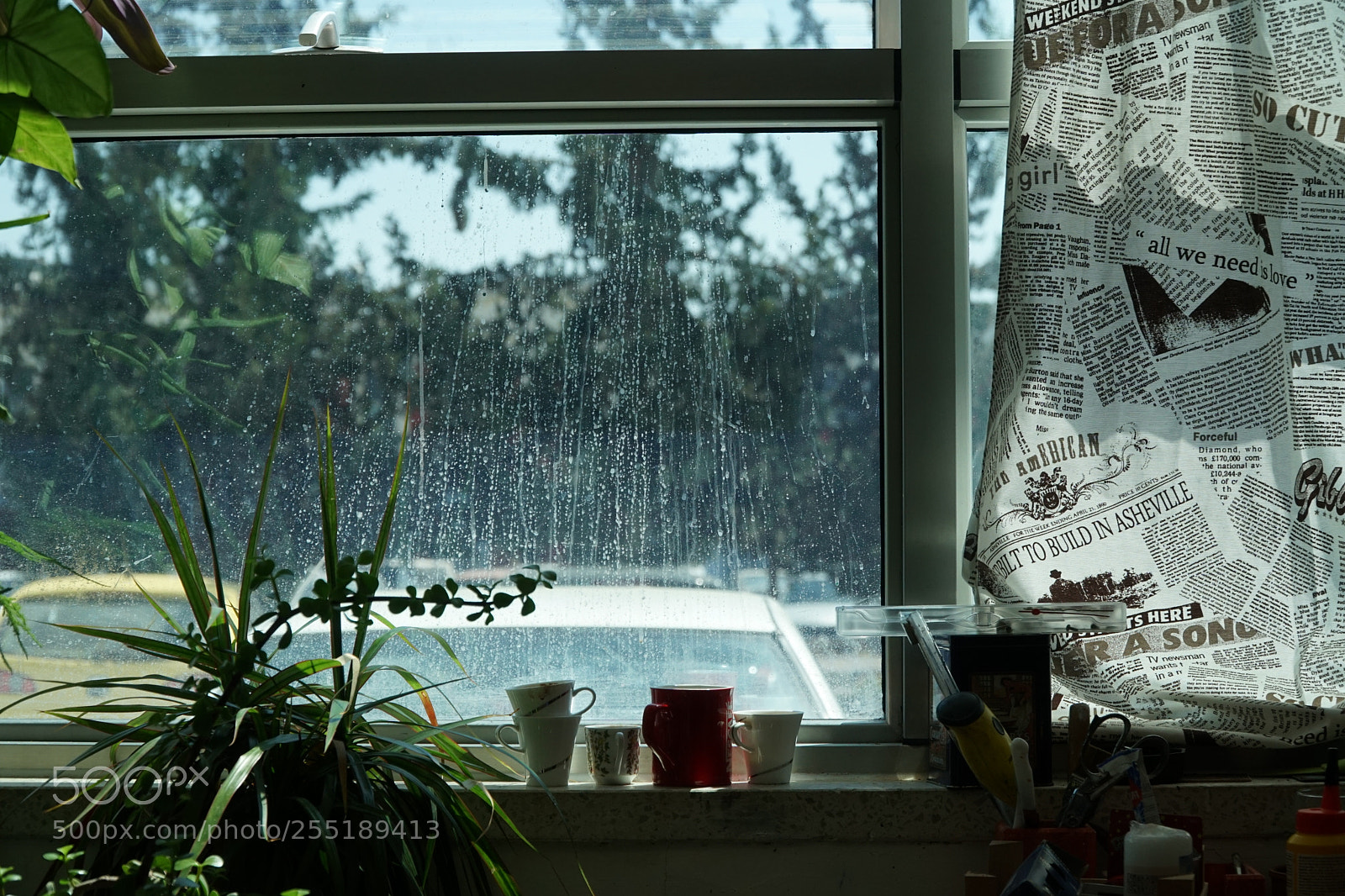 Sony a6300 sample photo. Dsc photography