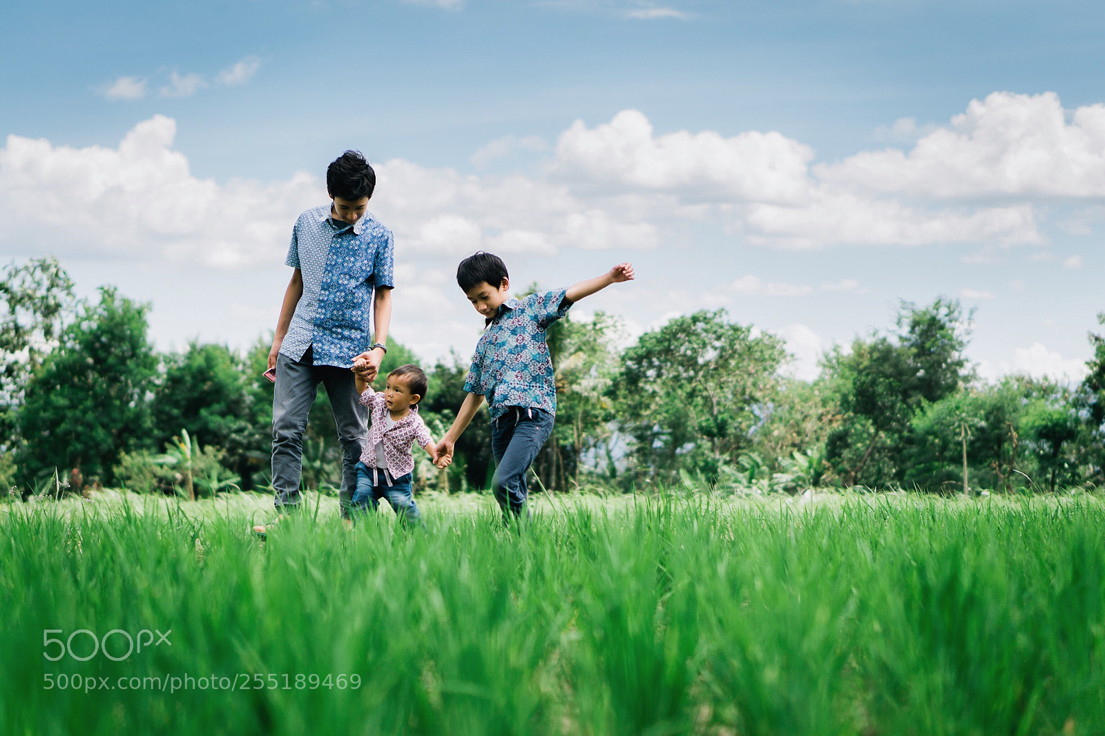 Sony a6000 sample photo. Playing in the rice photography