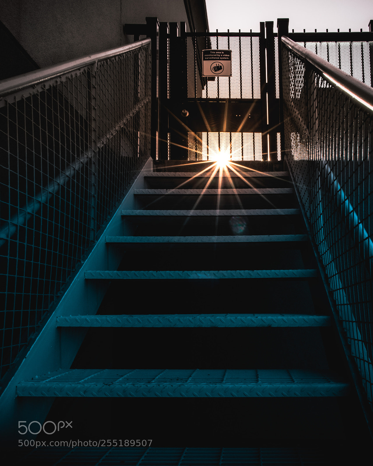 Nikon D5300 sample photo. Stairway to heaven... is photography