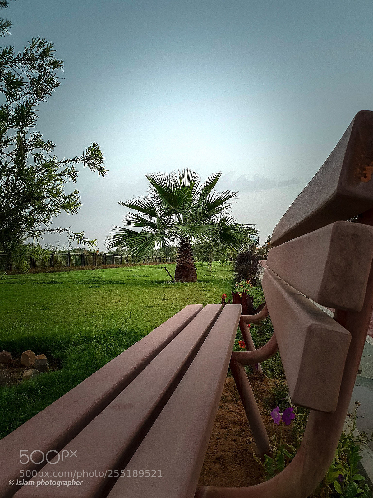 Samsung Galaxy S9+ sample photo. Have a rest photography