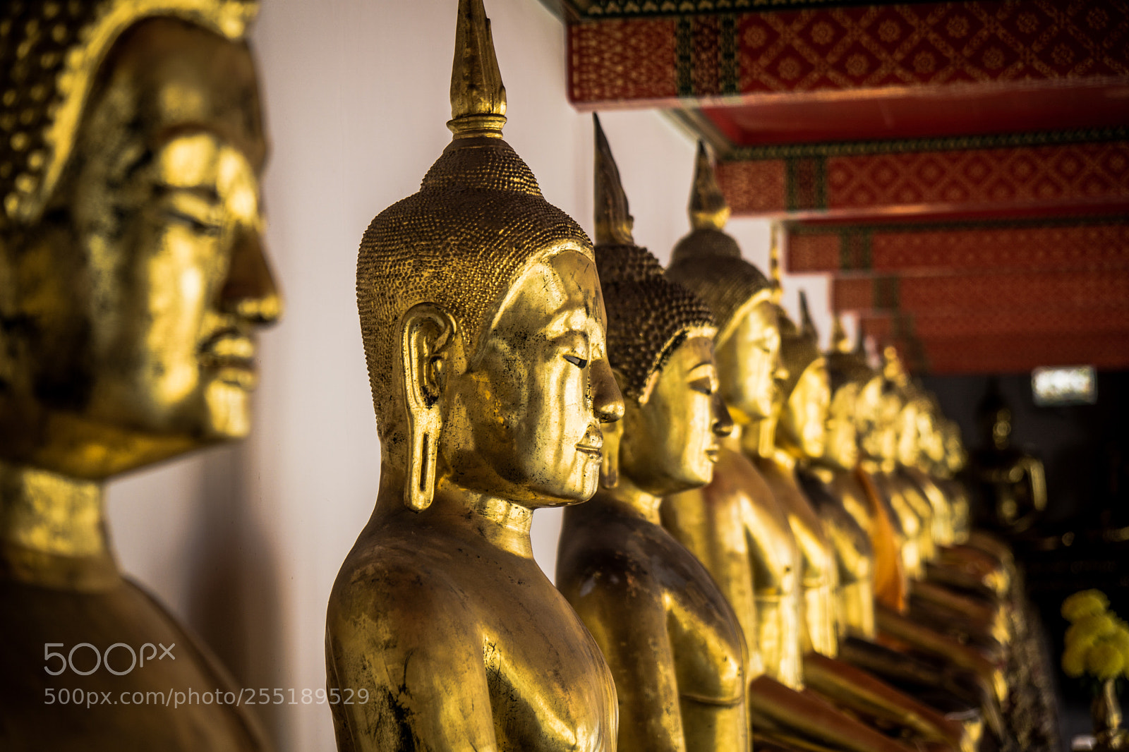 Sony a6000 sample photo. Wat pho's buddhas photography