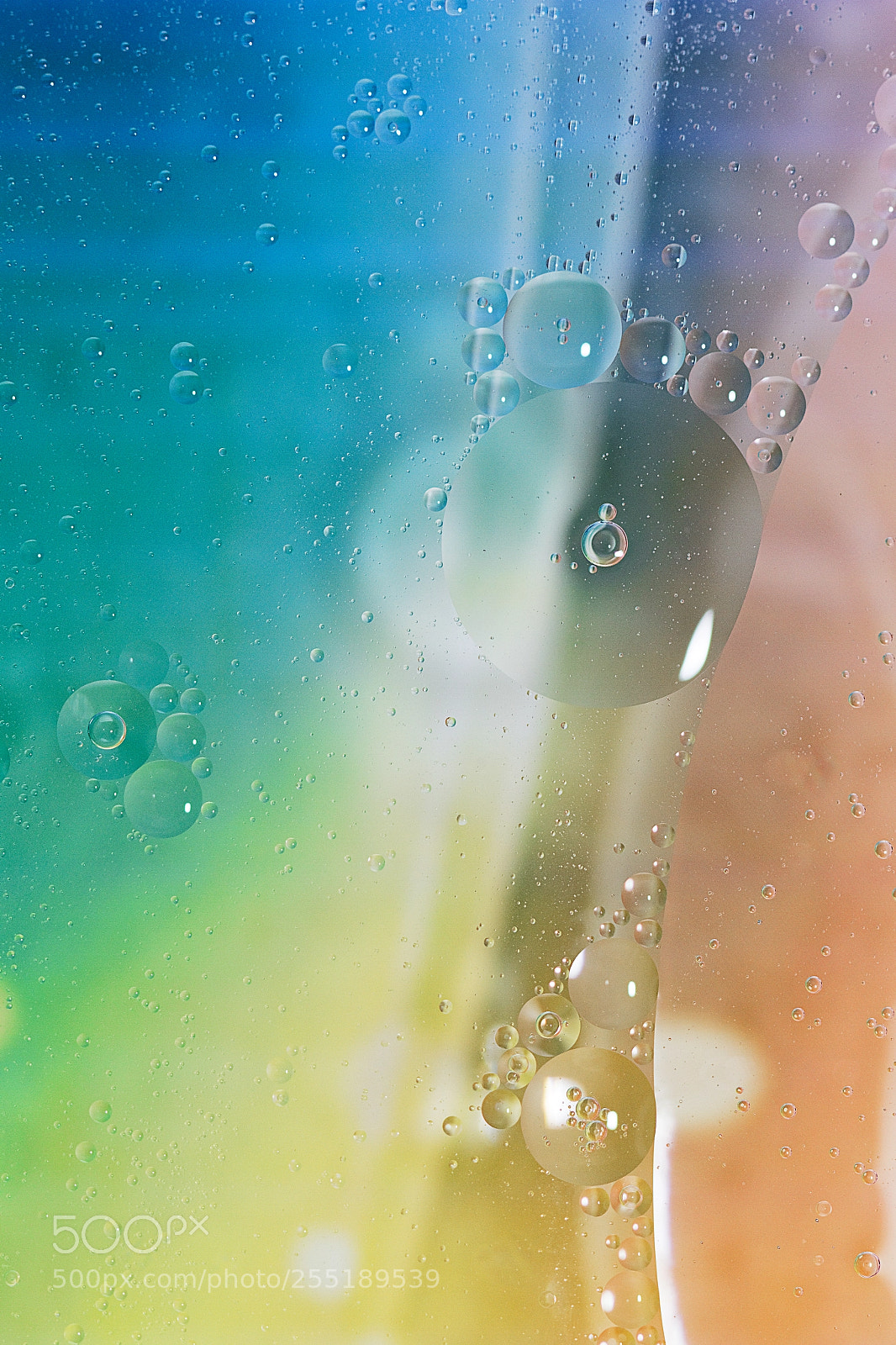 Canon EOS 7D sample photo. Bulles d'huile photography
