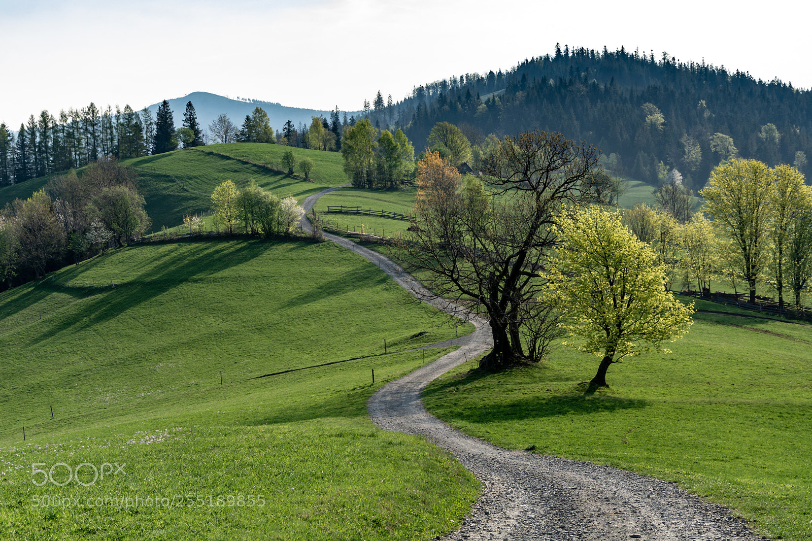 Nikon D7100 sample photo. Beskid road photography